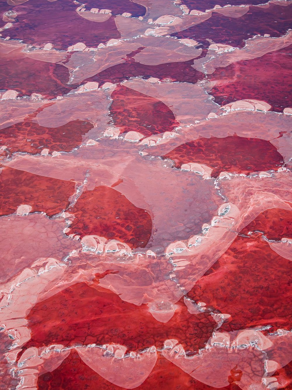 africa_lake_magadi_abstract.jpg