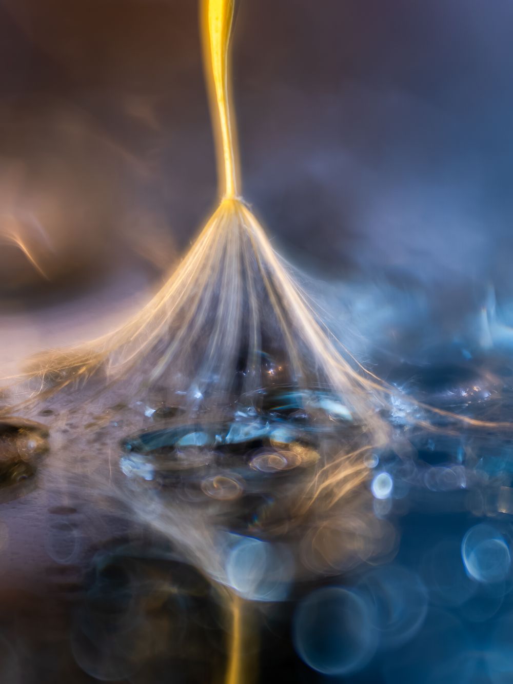 MISA_fantasia_sweep_abstract.jpg