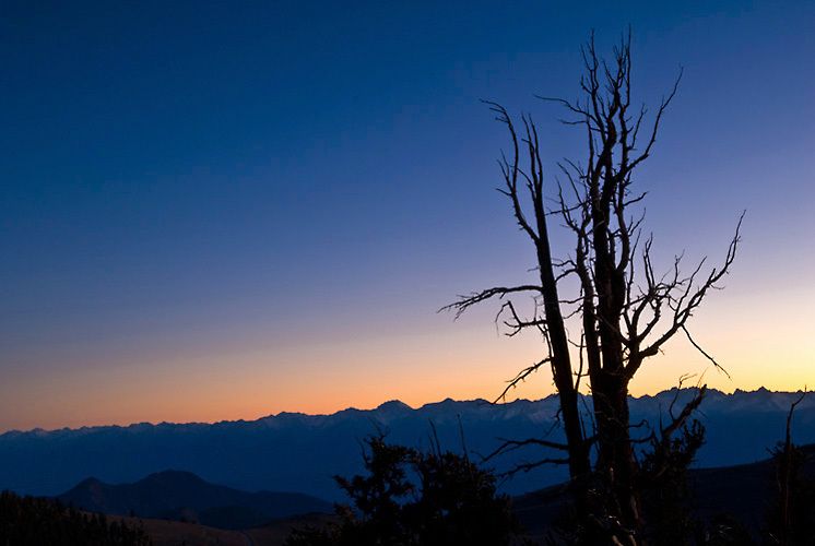 Sunset on Eastern Sierra