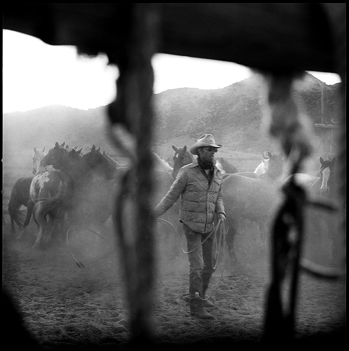 Maybell, CO   Tri-x 120 film Sombrero Ranch, Maybell Colorado, b&w film, horses, remuda, square, Stephen Collector