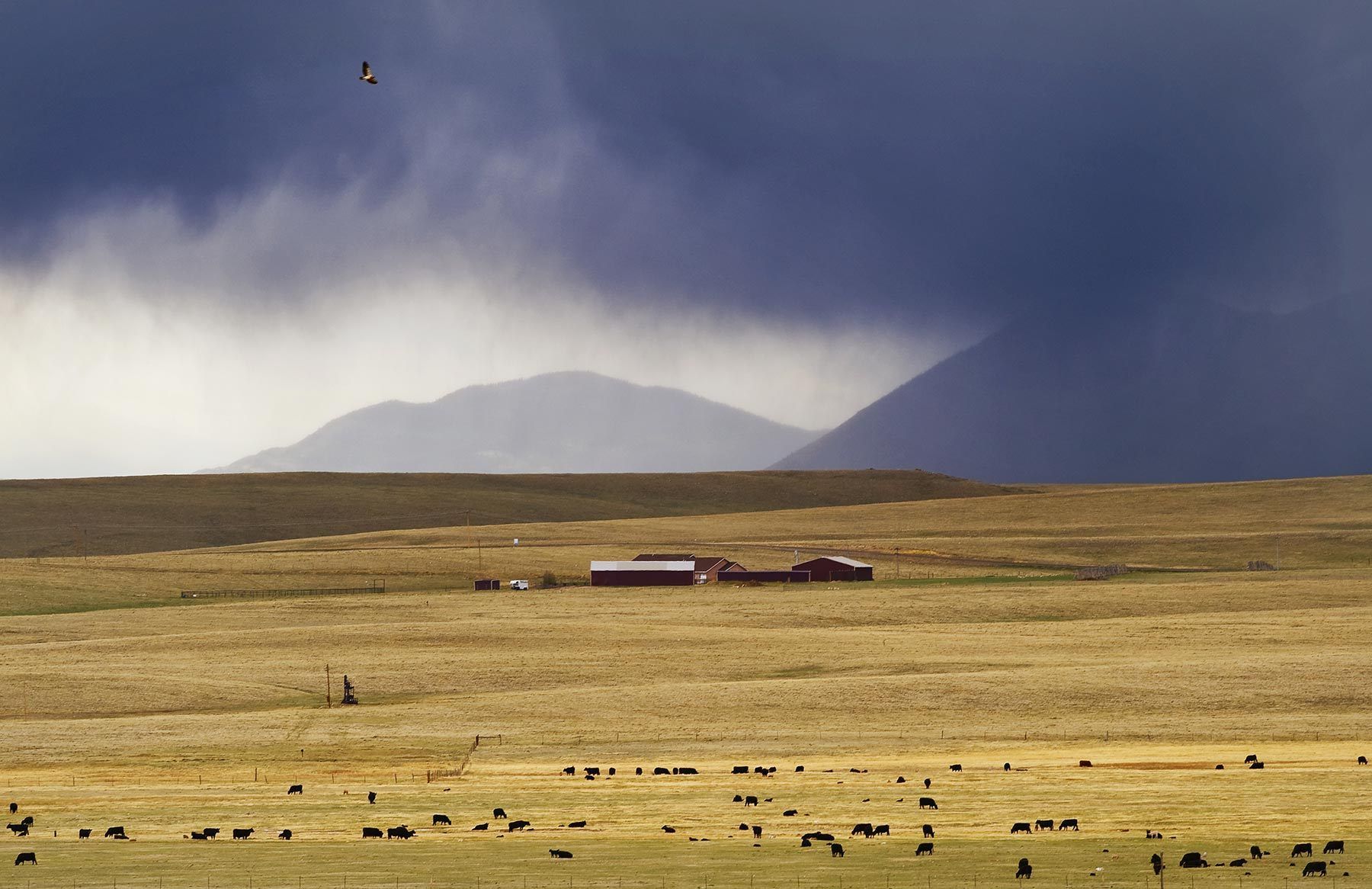 Storm over the Laramie Mountains
