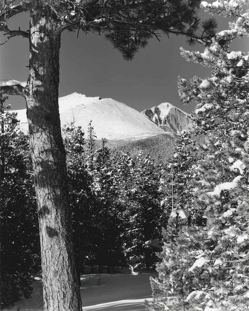 From series, Mountain Winter Journal, large format film Longs Peak massif