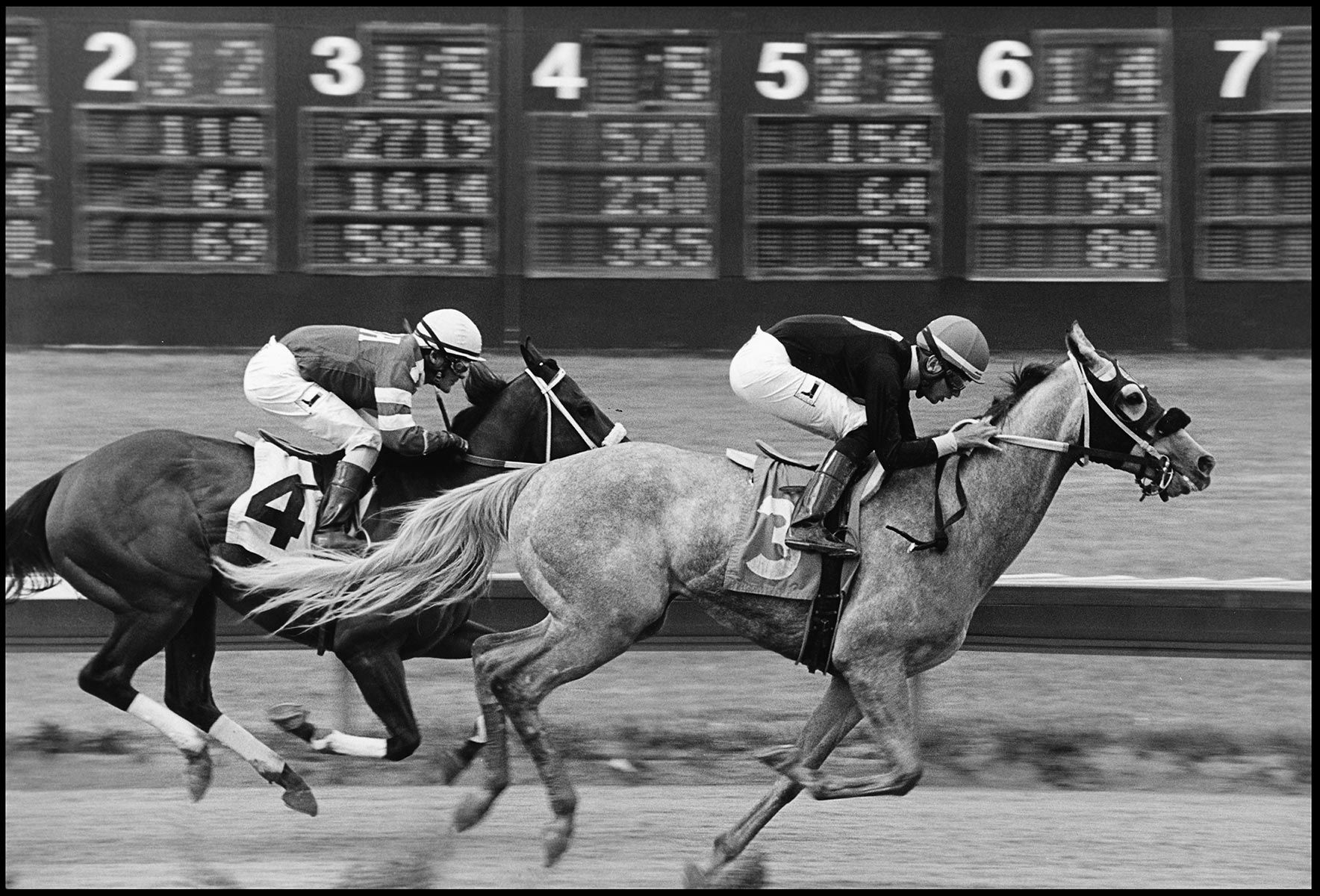 Arapahoe Park, Colorado horse racing, finish line, b&w film, jockeys, thoroughbred horses, araphaoe Park, Aurora, Colorado