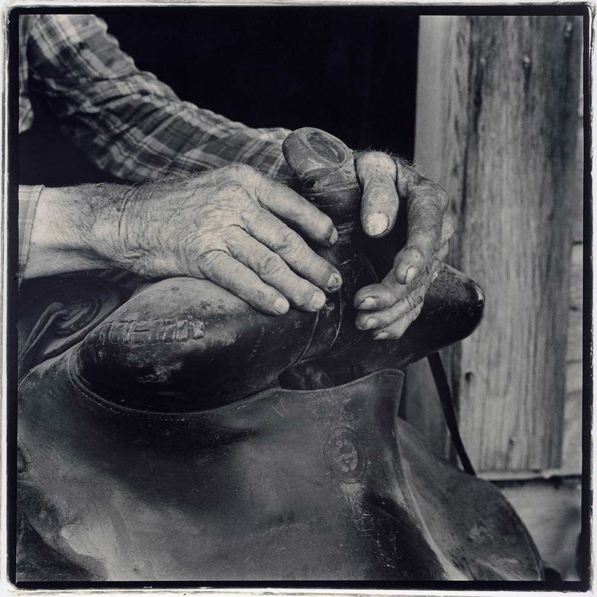 from the book, Law of the Range; Portraits of Old-Time Brand Inspectors Buster Priddy's hands, Dixon, Montana