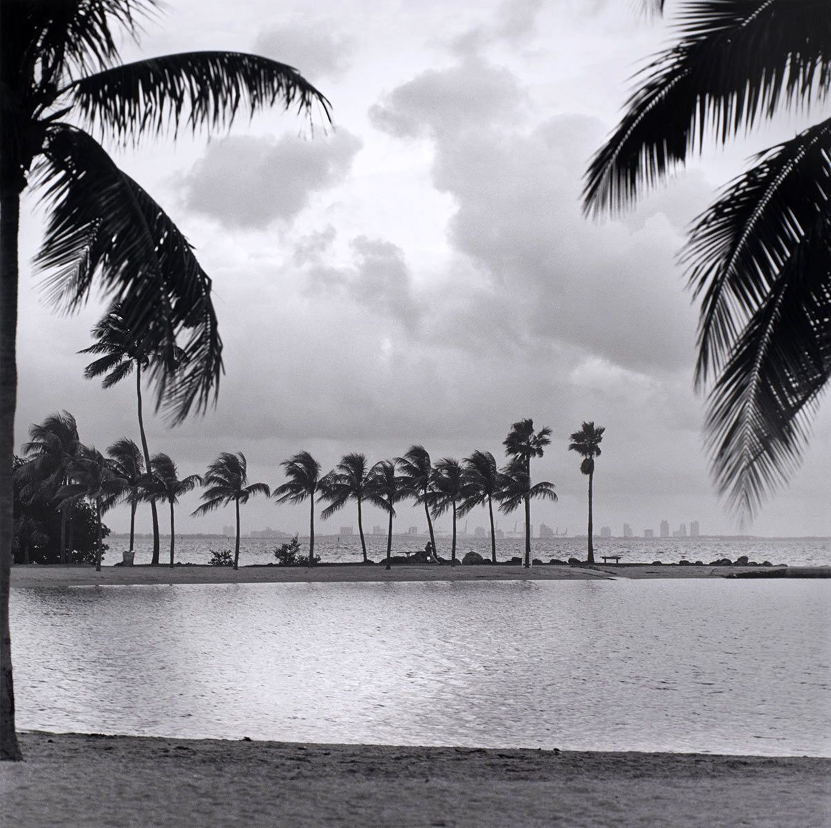 Matheson Hammock State Park, Miami