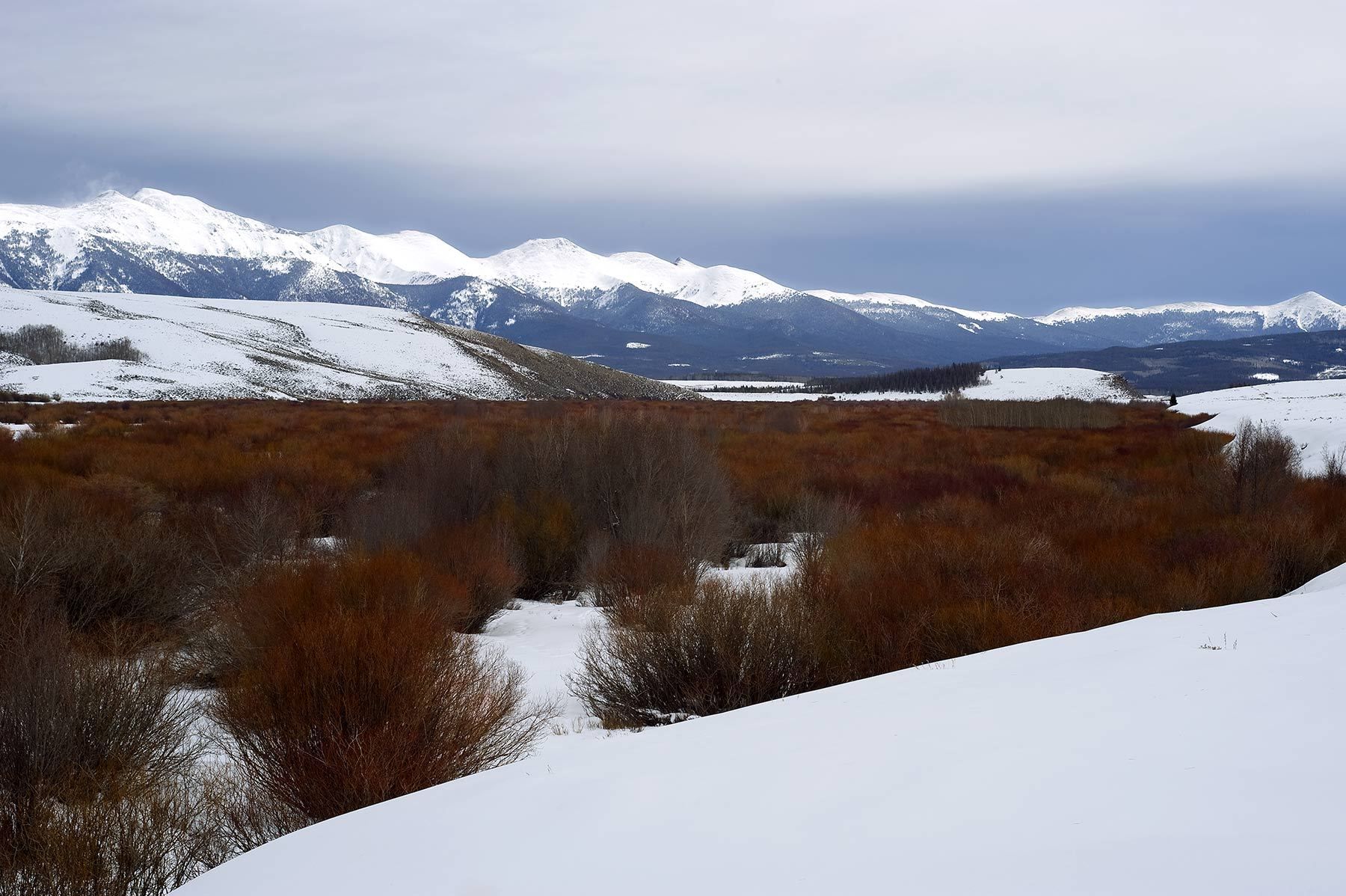 Medicine Bow Range