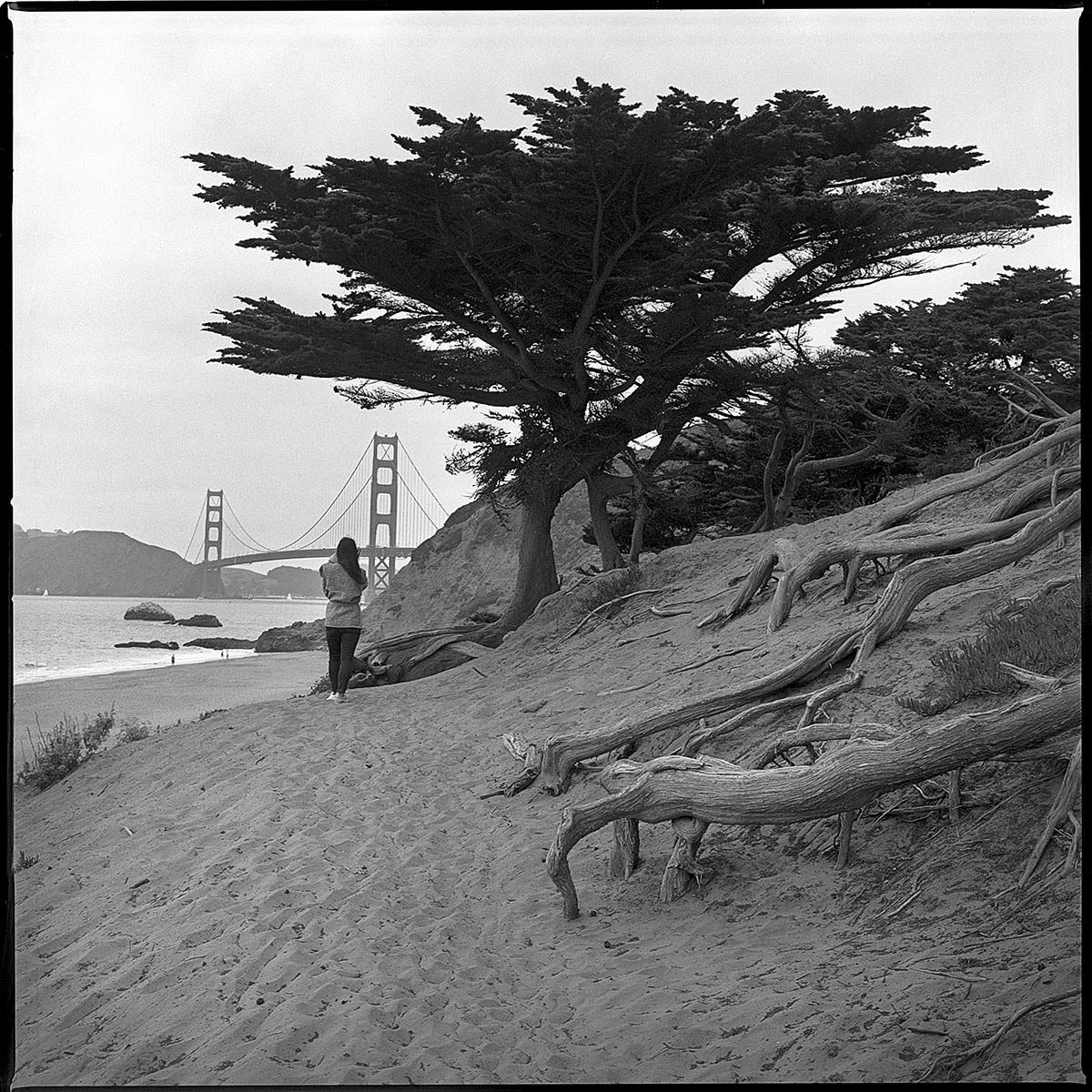 Golden Gate Bridge, b&w, film, medium format, Square format, San Francisco, Baker Beach