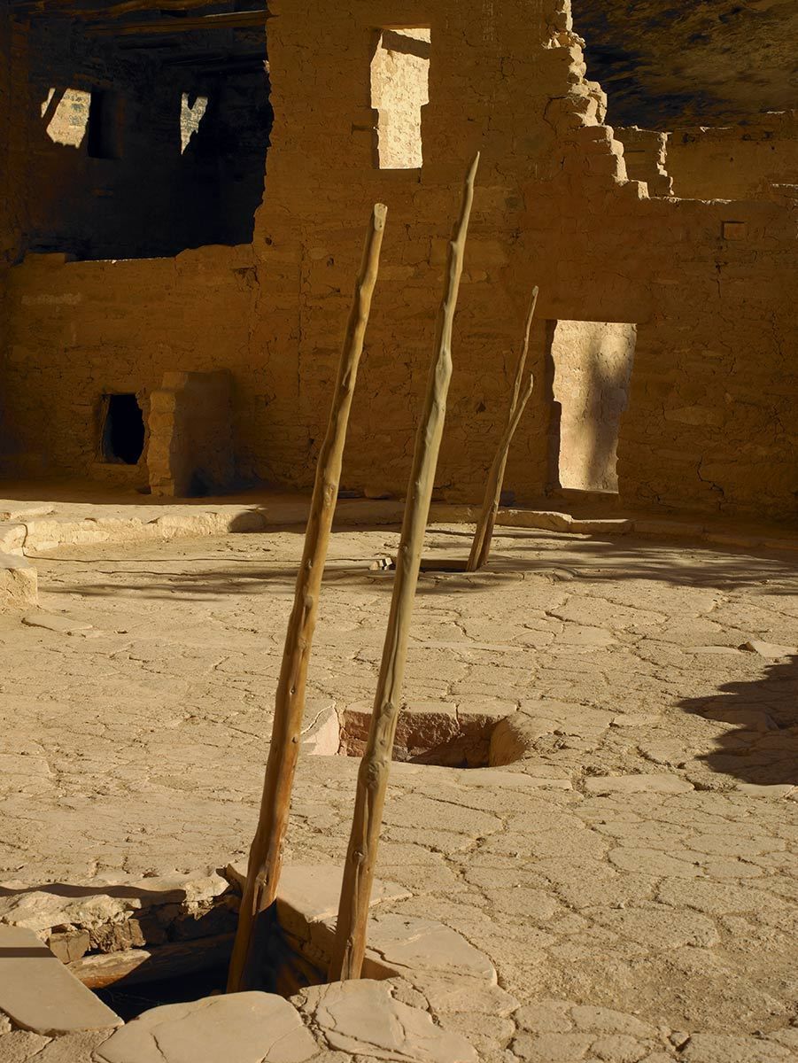Kiva ladder, Spruce Treehouse