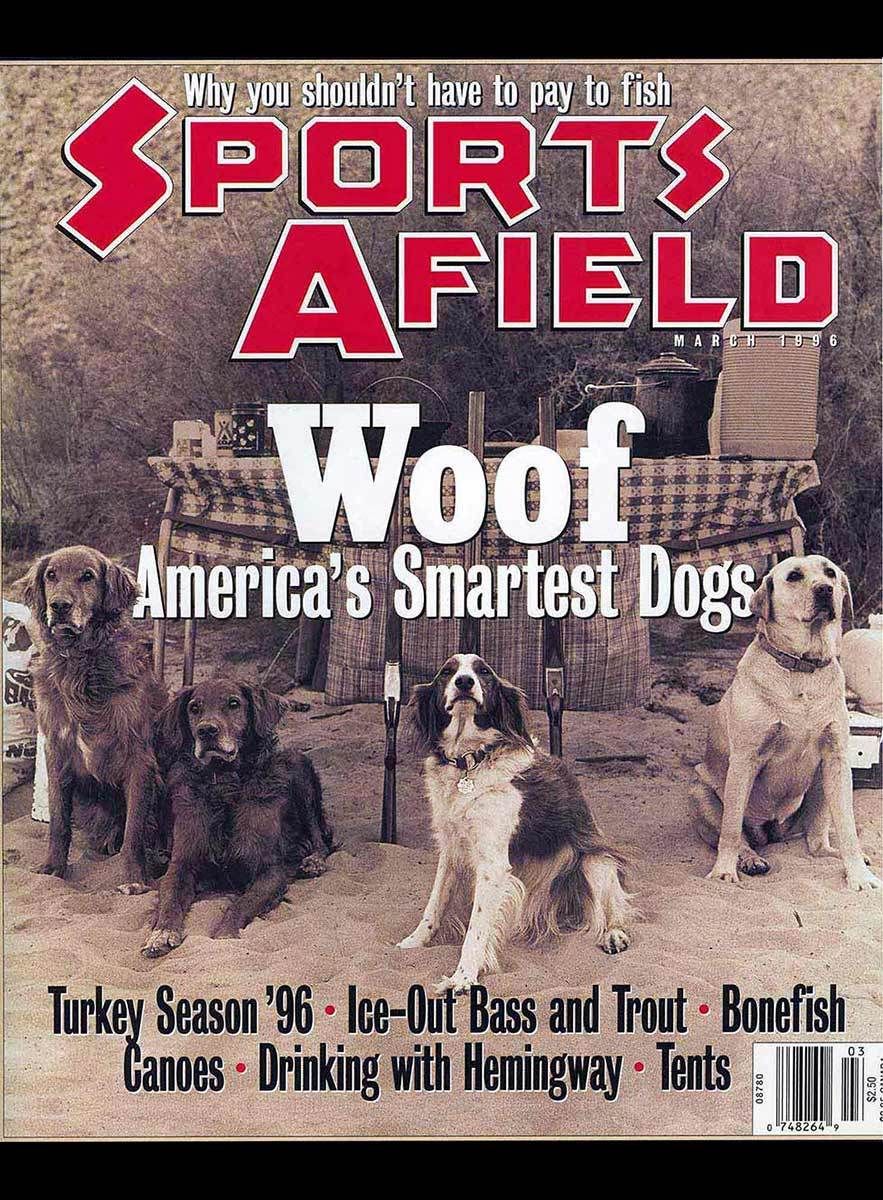 image catpured in Desolation Canyon, UT Sports Afield Cover