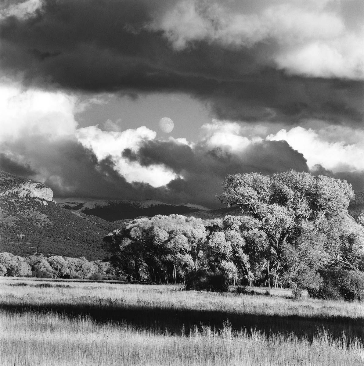 Moonrise over Cat Mountain, Trinchera Ranch, CO