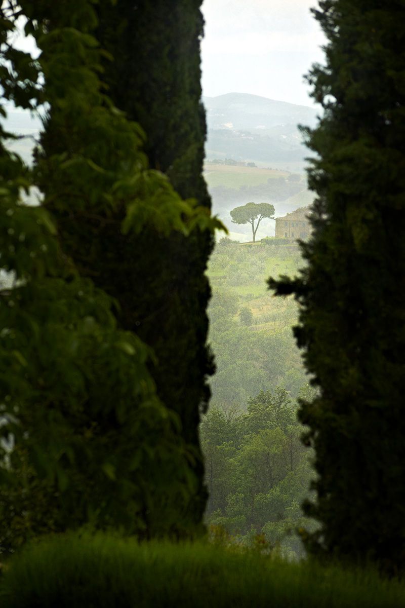 Estate in Greve in Chianti Italy