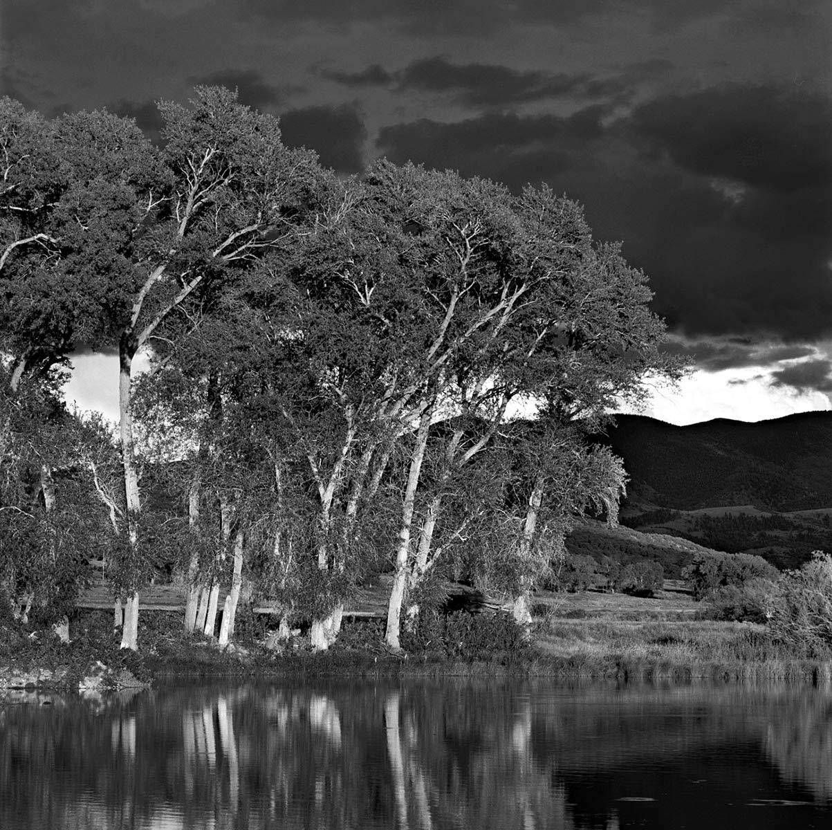Cottonwood reflections, Trichera Ranch, Ft. Garland, CO