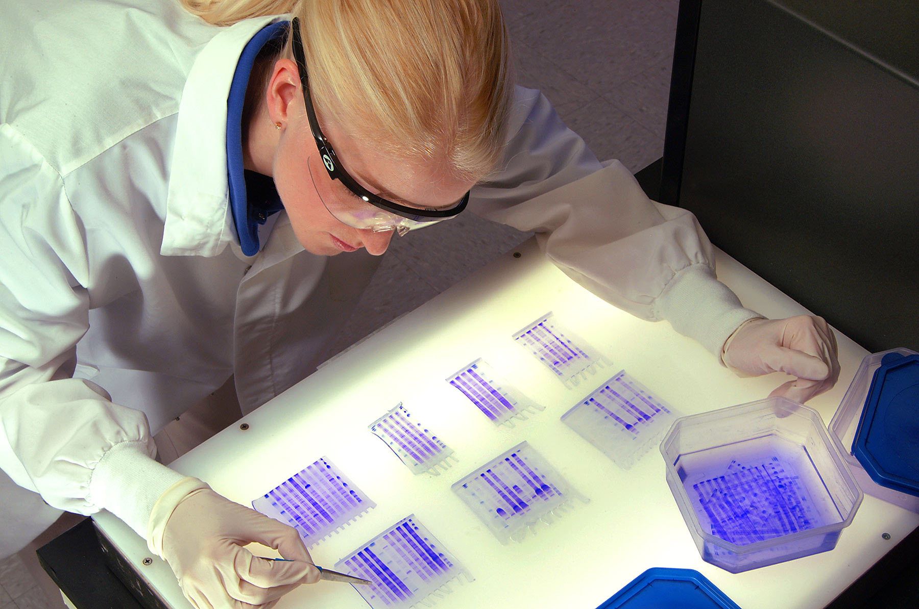 Annual Report image for Array Biopharma Bio Tech samples