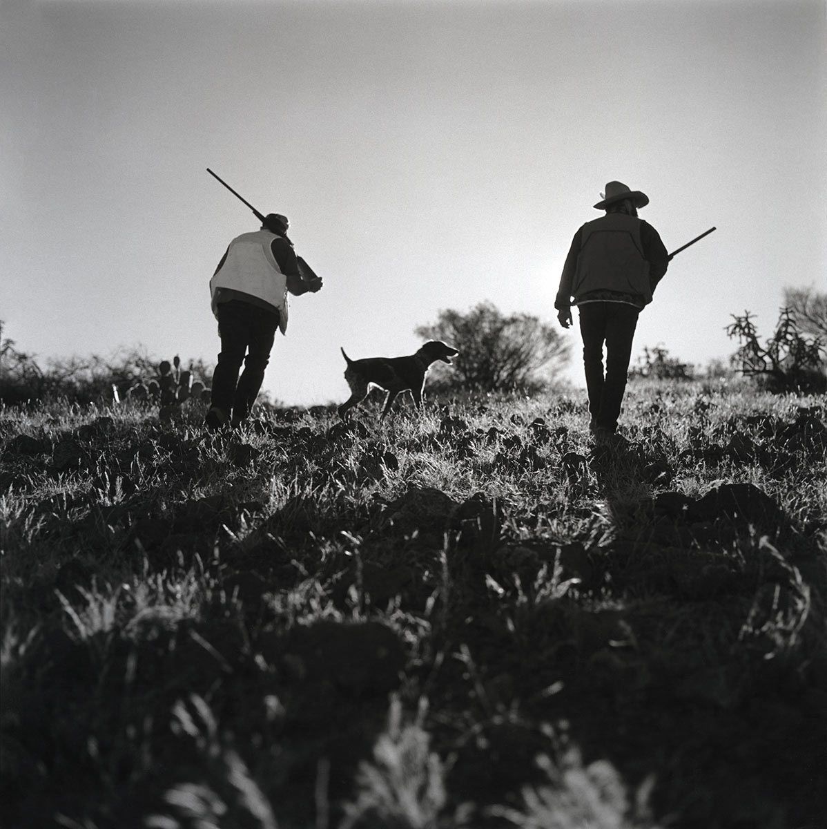 Desert quail hunters