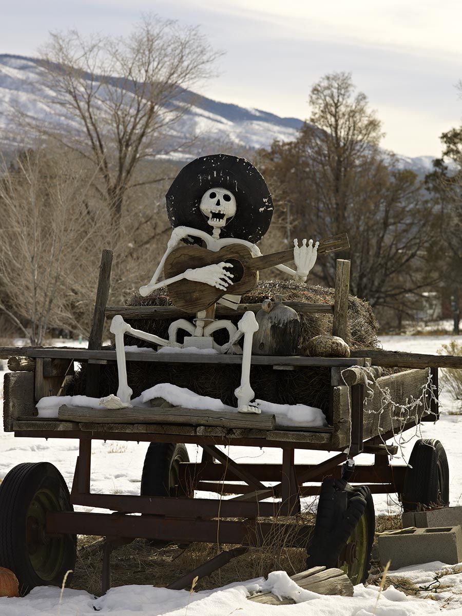 personal photograph Day of the Dead figure (El Santo Muerte) near Questa, NM