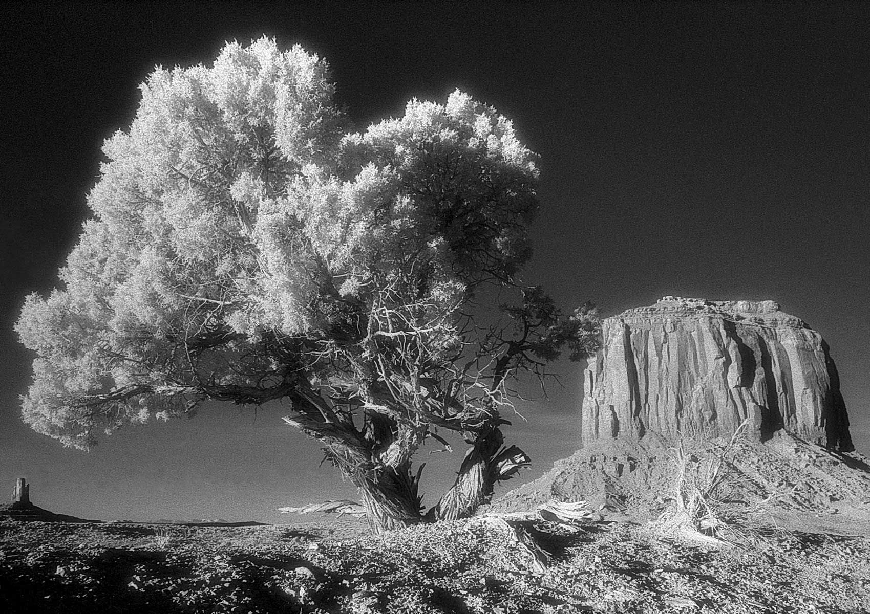 Near Monument Valley, AZ 35mm infra red film Monument Valley, Arizona, infra red, landscape, desert southwest,