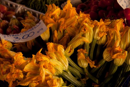 Squash Blossoms 2