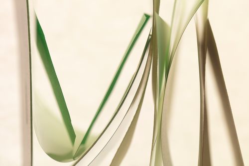 Soft Reveal 2