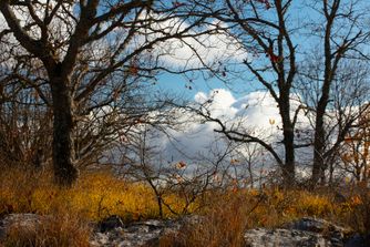 Col de Vence, Fra, autumn 6878