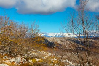 Col de Vence, France, Autumn 6883