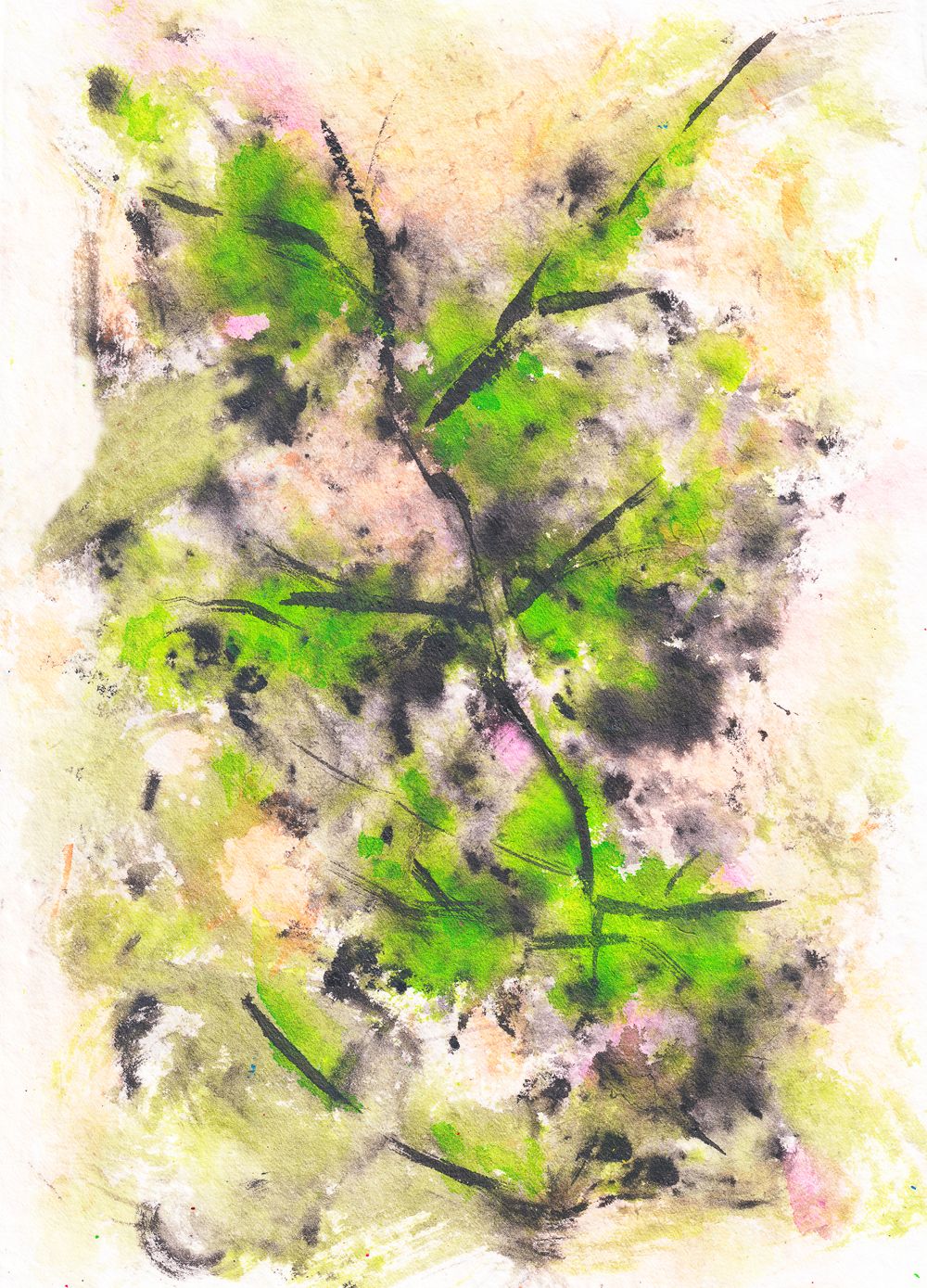 August Branch
