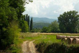 Tuscany 7018