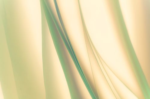 Voile Vert