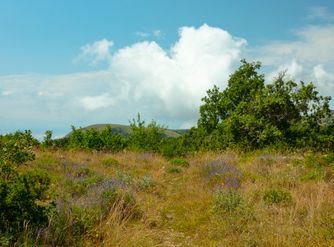 Col de Vence 6554