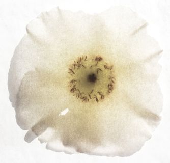 5125 