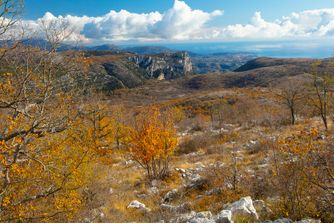 Col de Vence, France, Autumn 6882