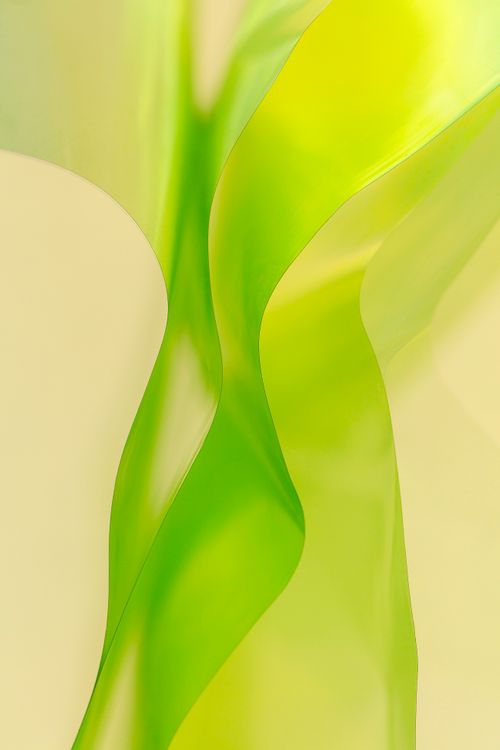 Young Green