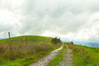 near Volterra, Tuscany, Italy 6616