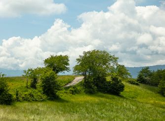 Emilia Romagna Region, Italy 6774