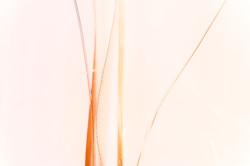 Jambes Orange 