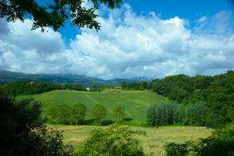 Vicchio, Tuscany 6989