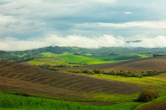 near Volterra, Tuscany, Italy 6615