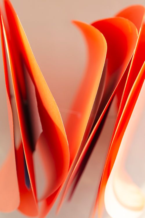 Petals One