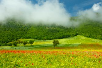 Norcia, Umbria 6772