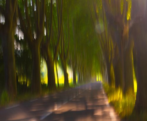Provence 5386