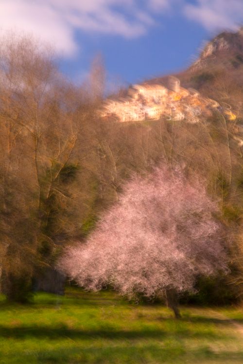 34" x 52" or smaller / Below Bar Sur Loup, Spring 4604
