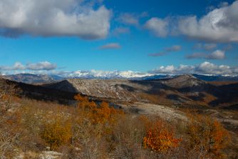 Col de Vence, France, Autumn 6881