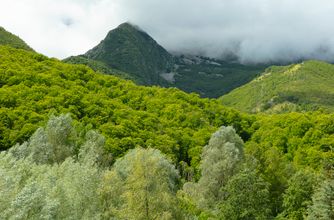 Garfagnana, Tuscany 6988