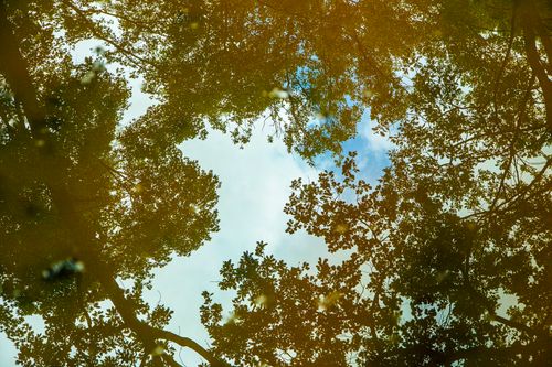 In a puddle 6718