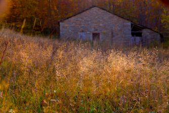 30" x 40" or smaller / Tuscany 3896