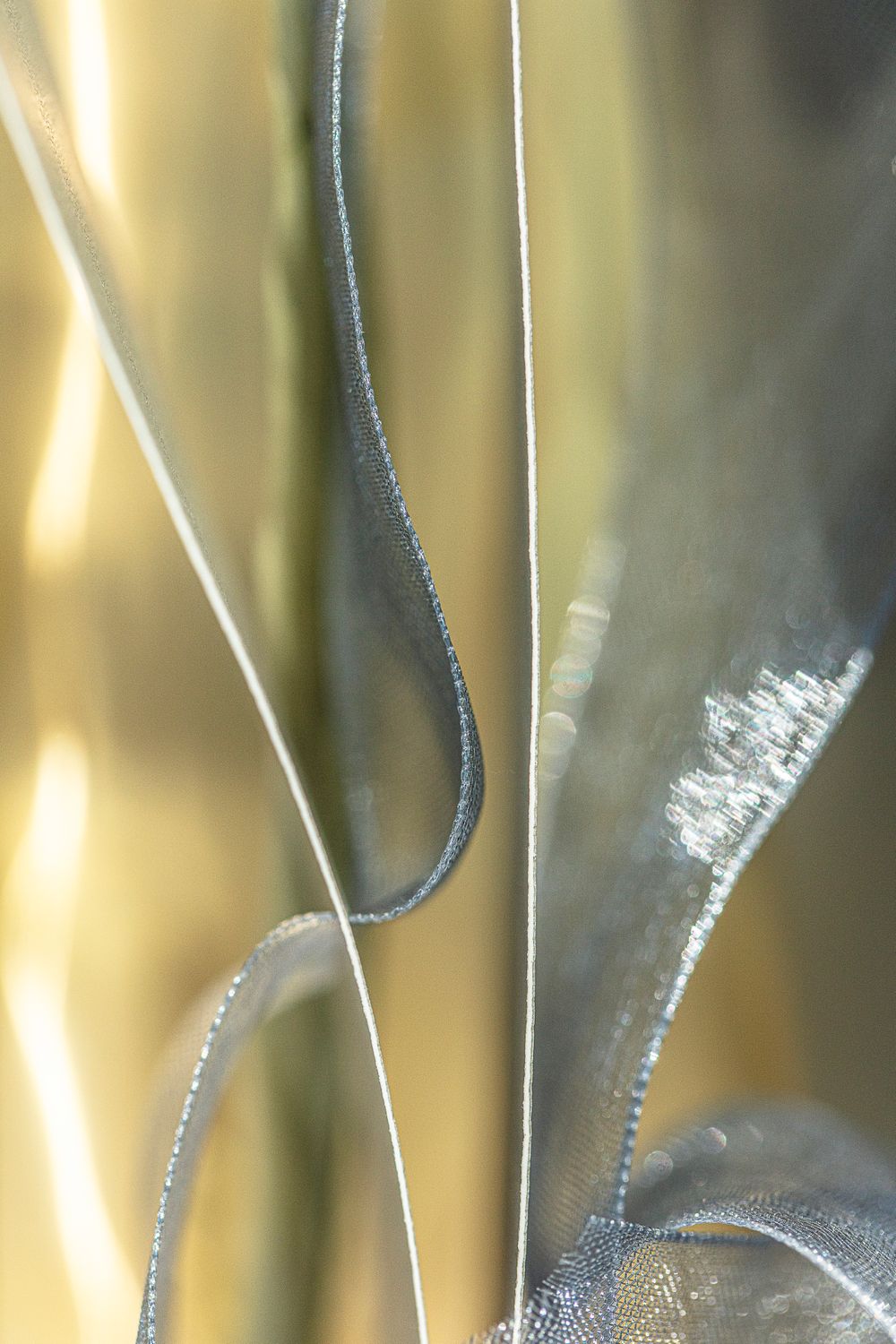Silver Jive