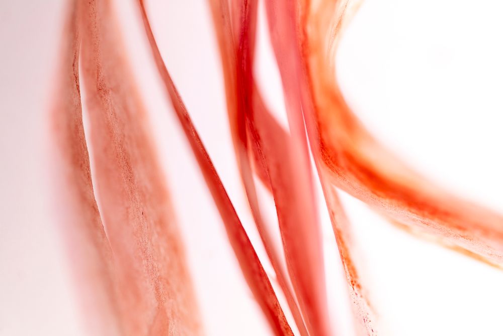 Terracotta Flow