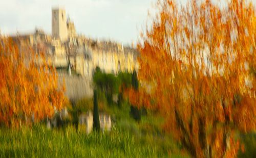 St Paul de Vence 5794