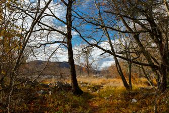 Col de Vence, Fra, autumn 6880