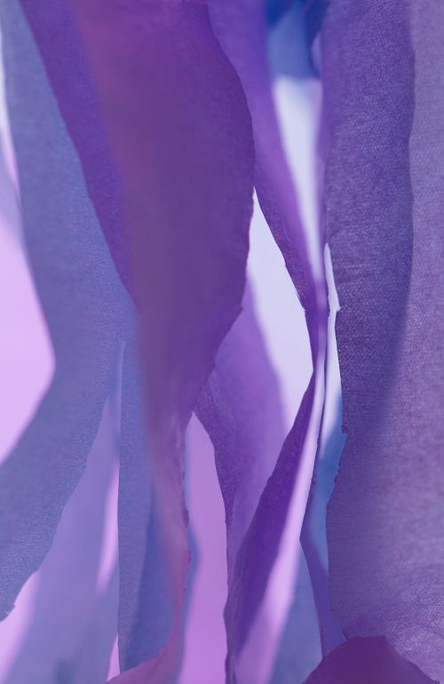 Violet Reverie