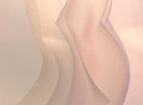 Shell Soft